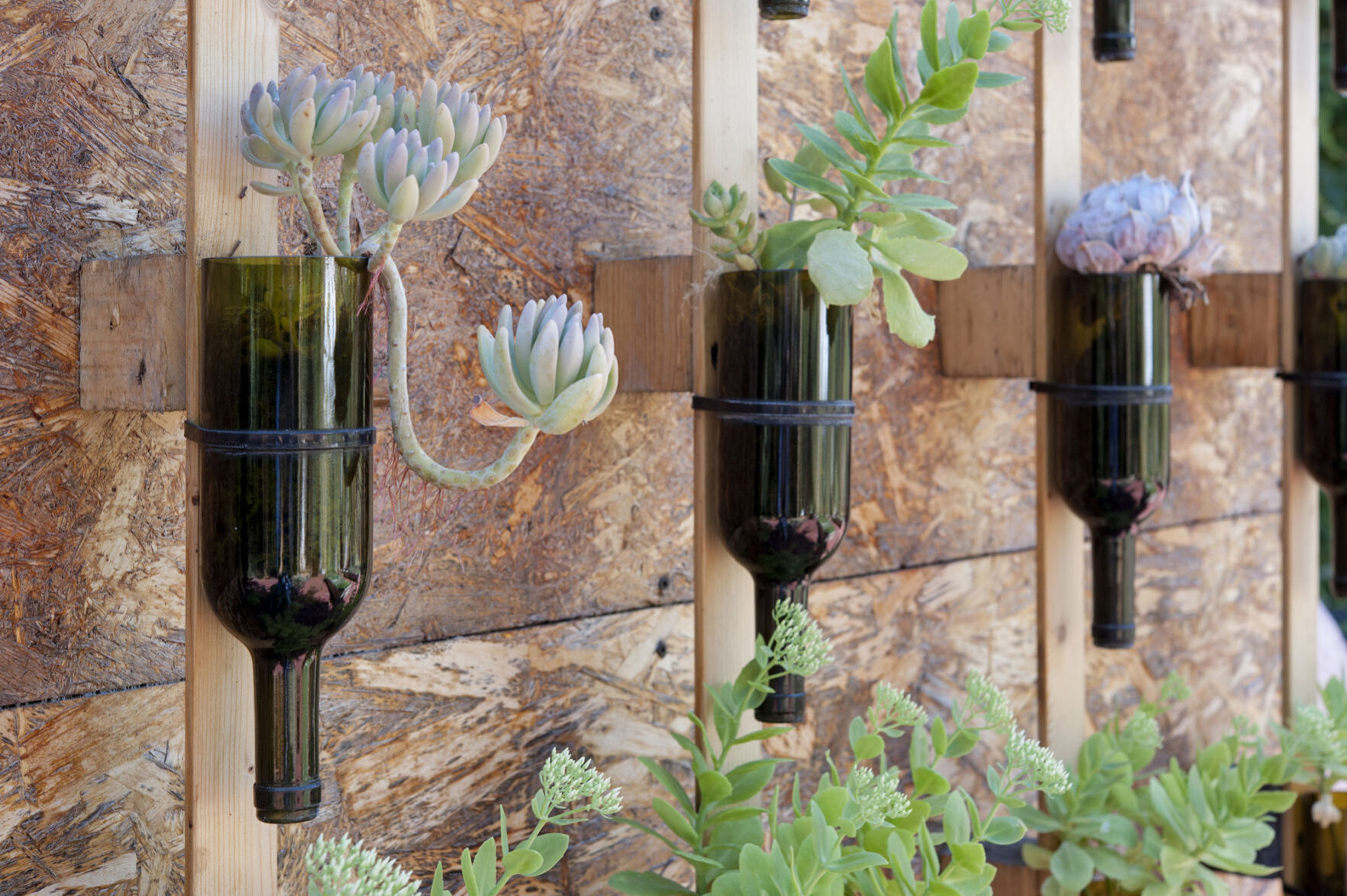 Wine to water